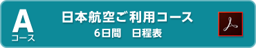 日本航空ご利用コースカンヌ6日間詳細