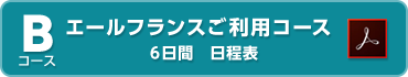 エールフランスご利用コースカンヌ6日間詳細