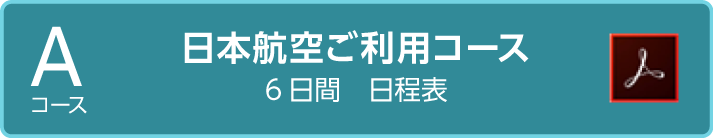 日本航空ご利用コースカンヌ6日間詳細