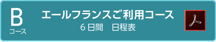 エールフランスご利用コースカンヌ6日間詳細